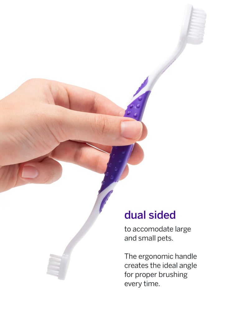 petsmile Professional Pet Toothbrush - Patented 45 Degree Cat & Dog Toothbrush for Small & Large Animals - Pet Accessories for Dental Care - VOHC Approved Teeth Cleaning - Dog Toothpaste Not Included - Image 3